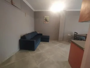 Open-plan living room and kitchen of the apartment, with modern decor, bright space, and comfortable sofas.
